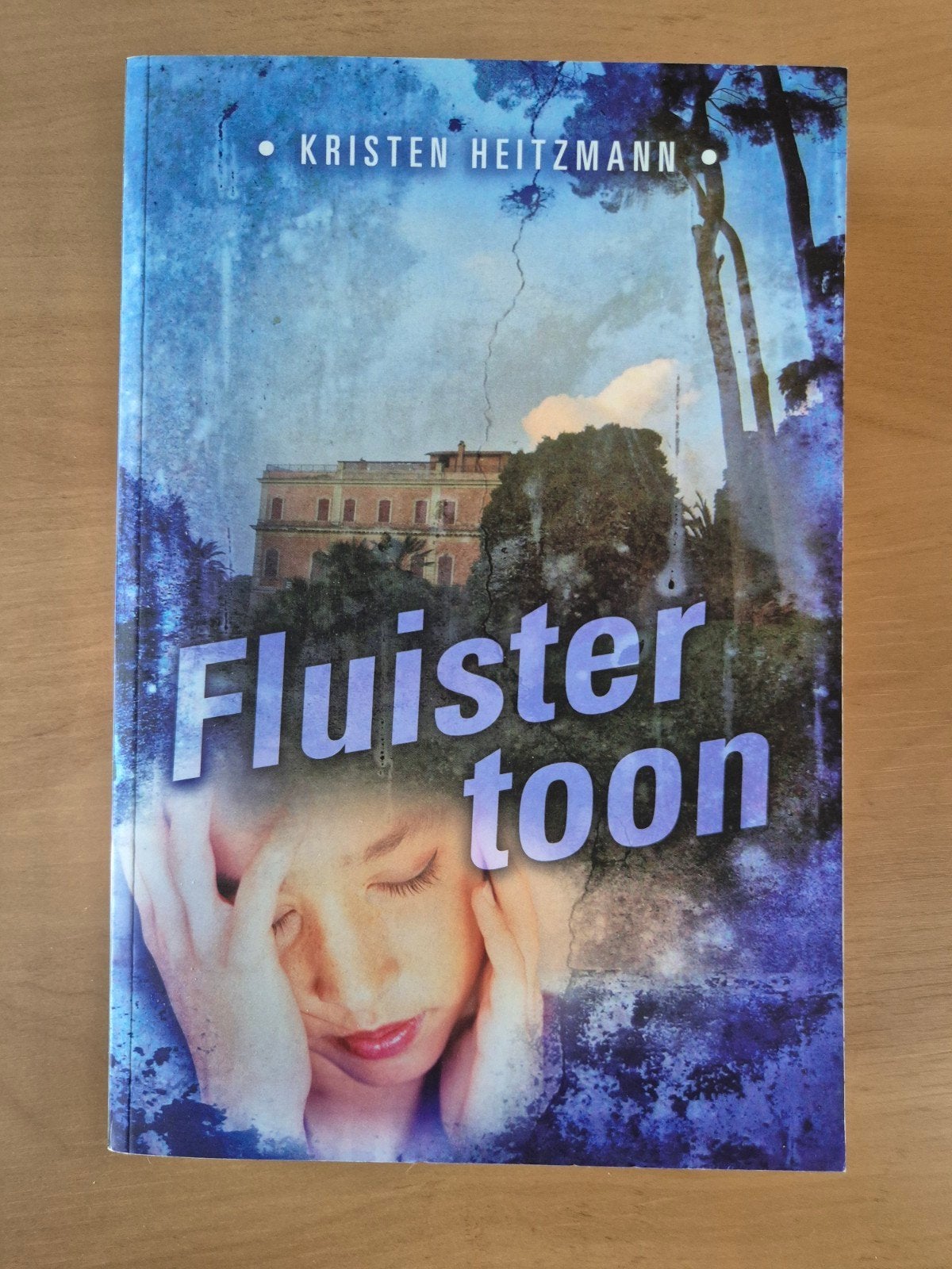 Fluistertoon - Kristen Heitzmann (Roman), Boeken, Ophalen of Verzenden, Zo goed als nieuw, Kristen Heitzmann, Nederland