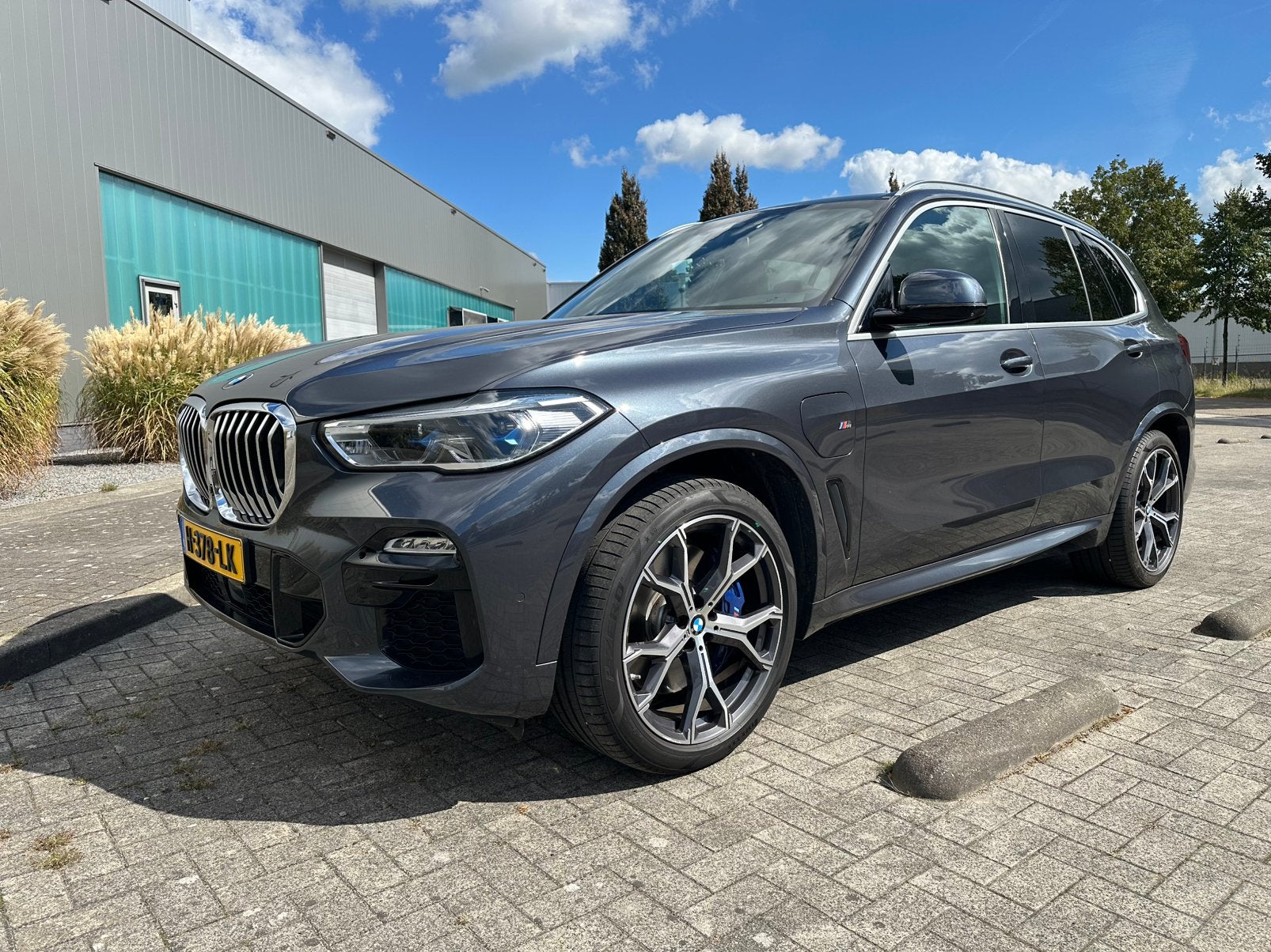 BMW X5 45e Xdrive/M sport/High ex/Leer/Pano/Trekh/3.0ltr V6, X5, Vierwielaandrijving, SUV of Terreinwagen, 6 cilinders
