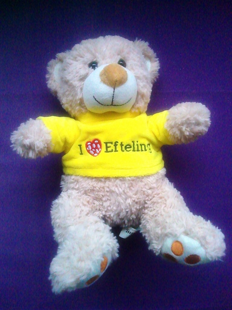 EFTELING Knuffel BEER UIT 2017. 32 CM **Nieuw**, Kinderen en Baby's, Speelgoed | Knuffels en Pluche, Overige merken, Beer, Nieuw