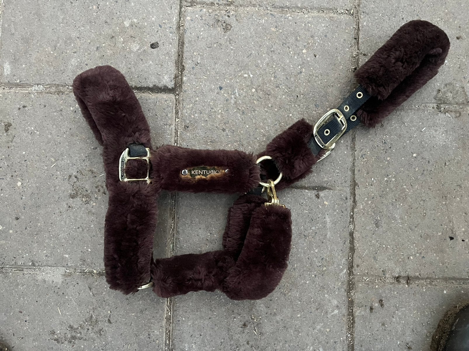 Halster kentucky bruin synthetisch bont, Bruin, Nieuw, Ophalen of Verzenden, Halster