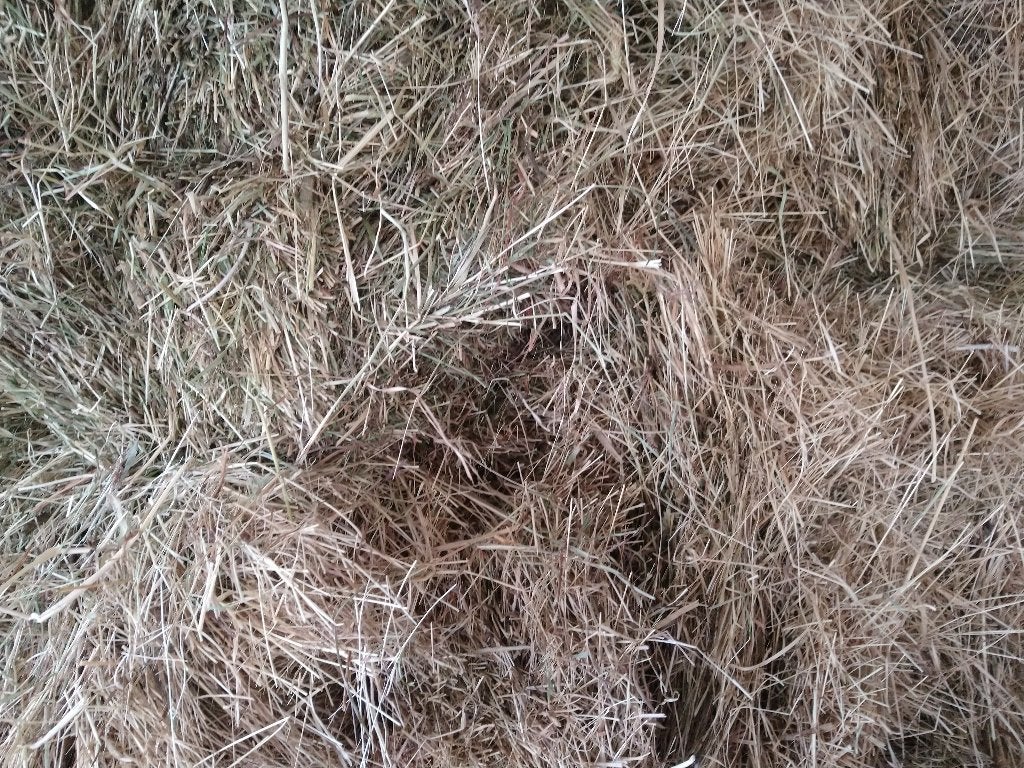 Prachtig lang paardenhooi 15 onverpakte balen, Ophalen, Vee