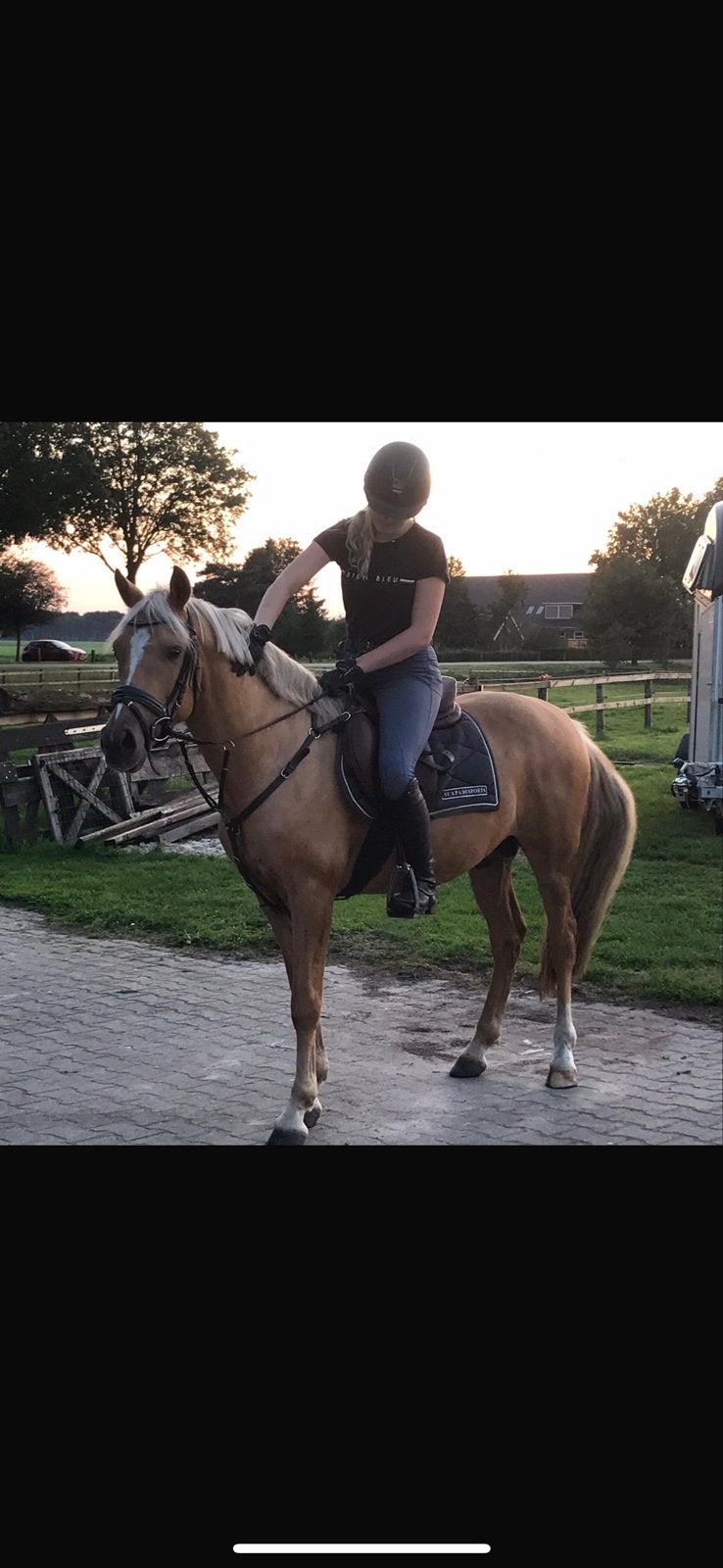 Bijrijdster aangeboden, Ophalen of Verzenden