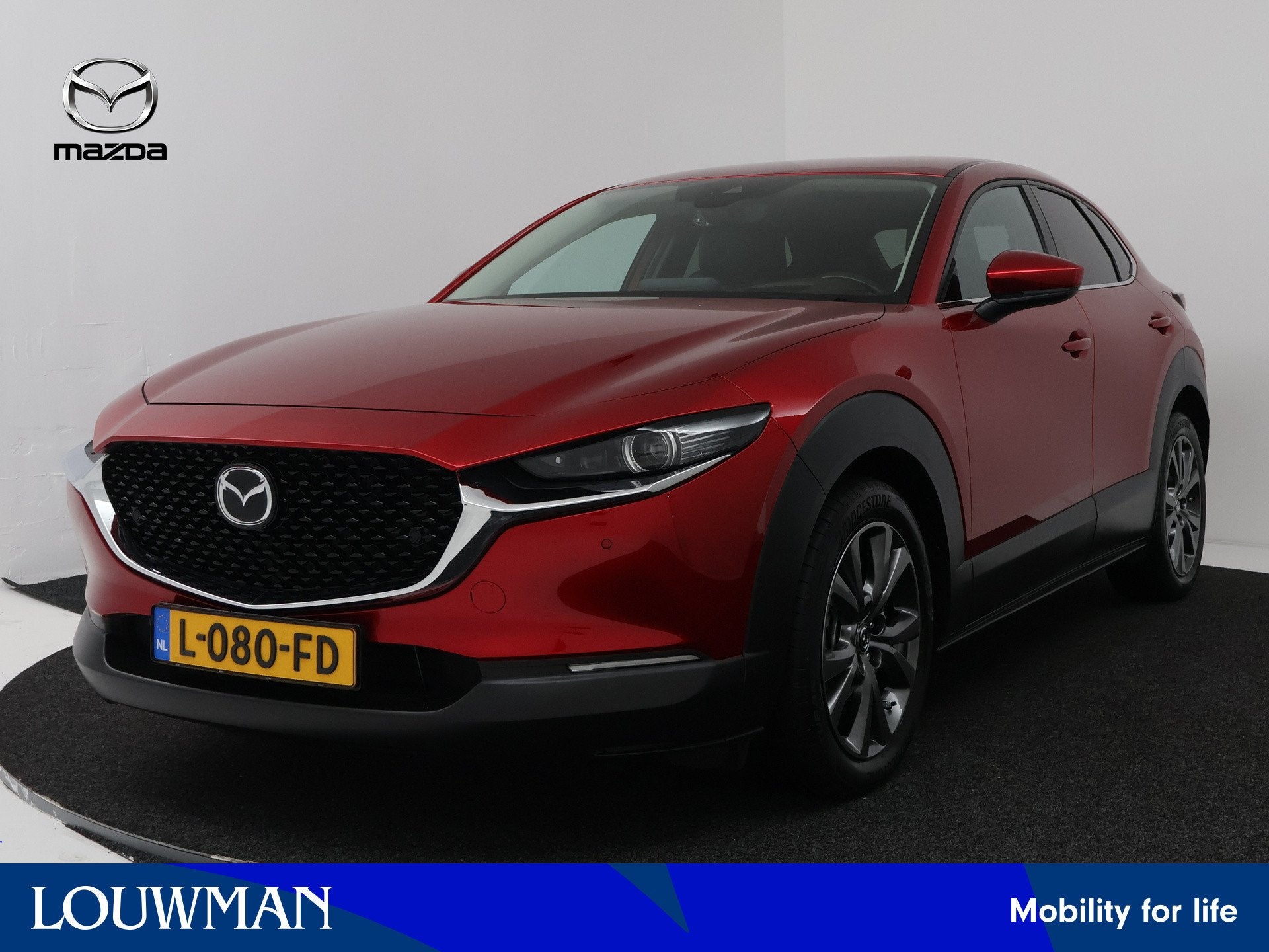 Mazda CX-30 2.0 e-SkyActiv-X M Hybrid Luxury Leder | Bose |