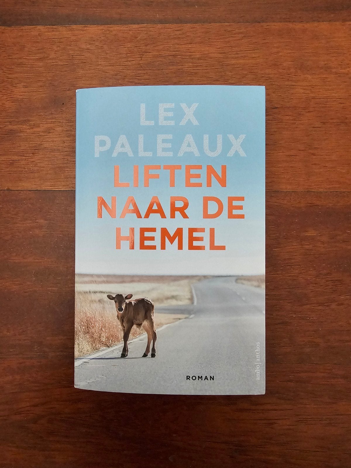 Lex Paleaux - Liften naar de hemel, Ophalen of Verzenden, Zo goed als nieuw, Lex Paleaux