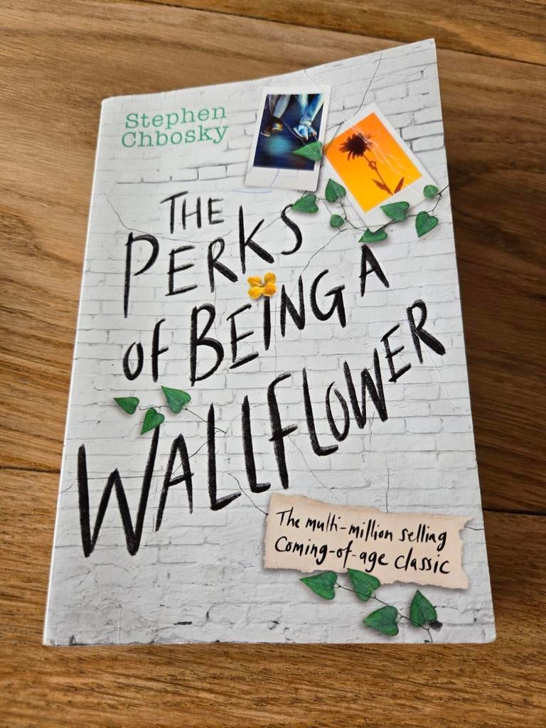 The Perks of Being a Wallflower - Stephen Chbosky, Boeken, Ophalen of Verzenden, Gelezen, Stephen Chbosky, Wereld overig