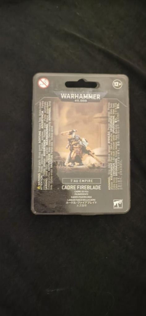Warhammer Figuren: T'au Empire & Stormcast Eternals, Ophalen of Verzenden