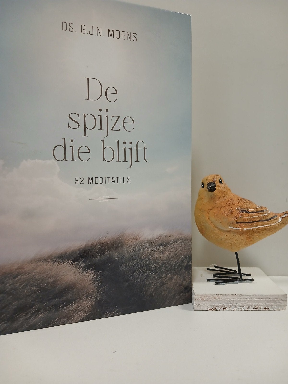 Moens, Ds. G.J.N.; De spijze die blijft, Ophalen of Verzenden, Gelezen, Christendom | Protestants