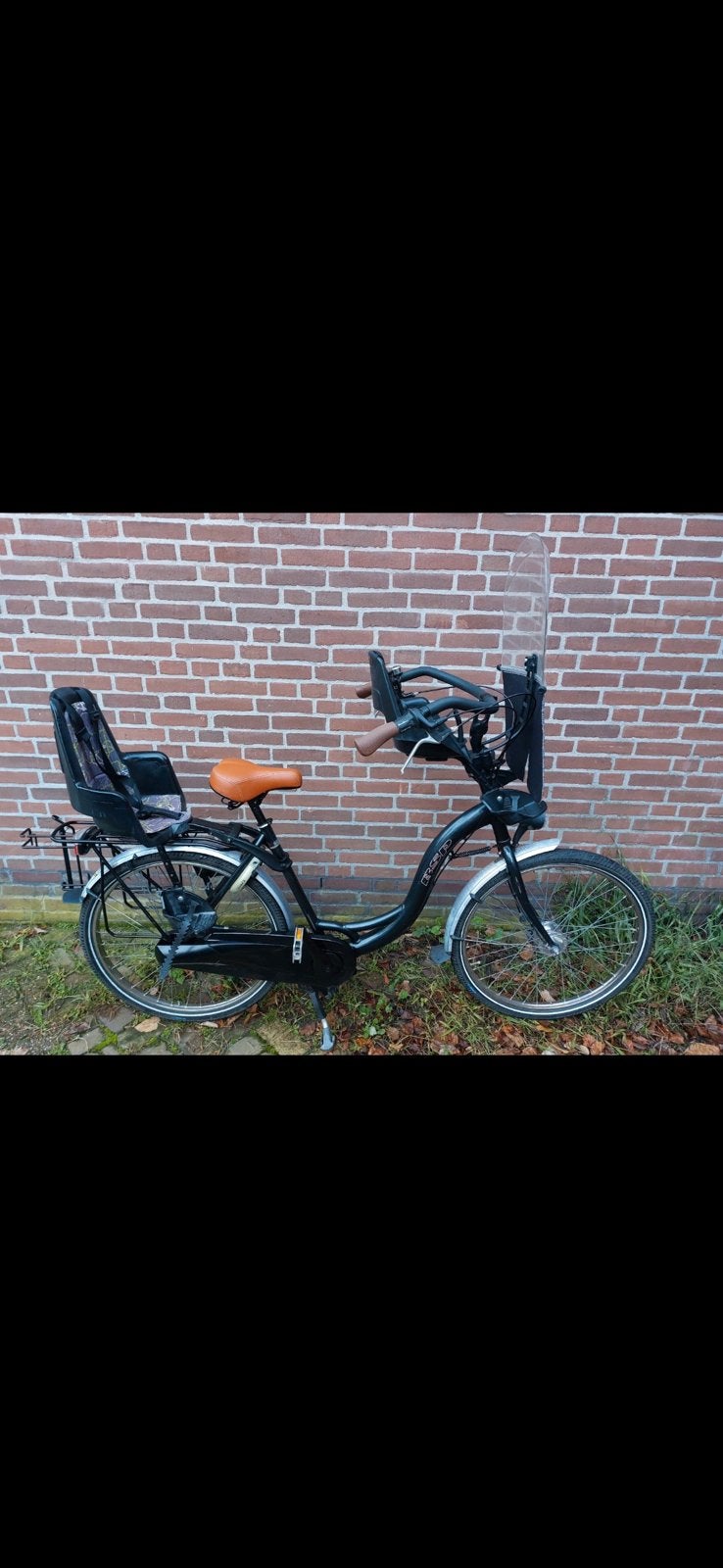 Dames fiets, Fietsen en Brommers, Fietsaccessoires | Fietsstoeltjes, Ophalen of Verzenden, Gebruikt, Achterzitje, Voetsteuntjes