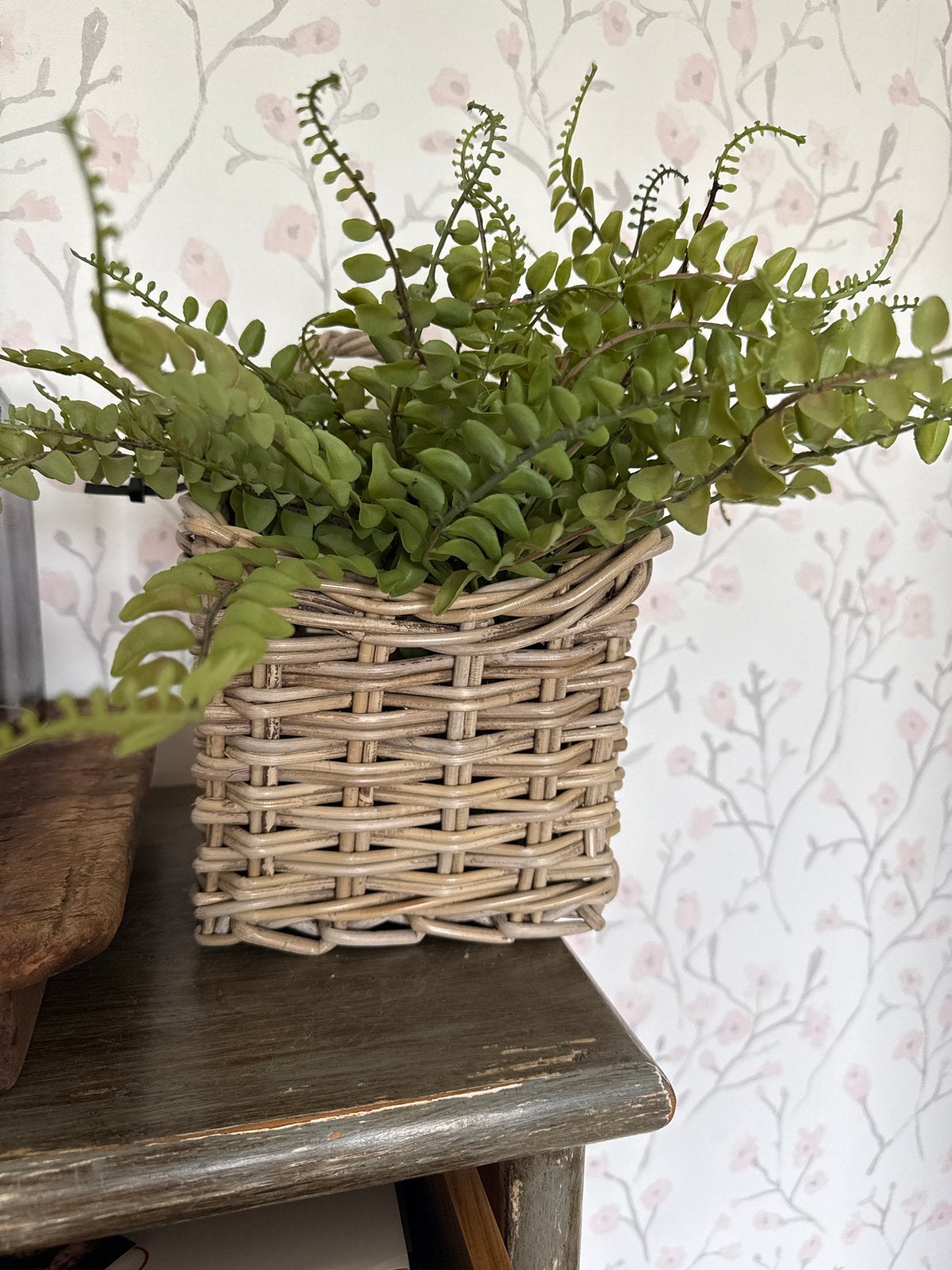 Rieten mandje met kunst varen - Decoratief en sfeervol, Ophalen, Gebruikt, Gevlochten, Mand