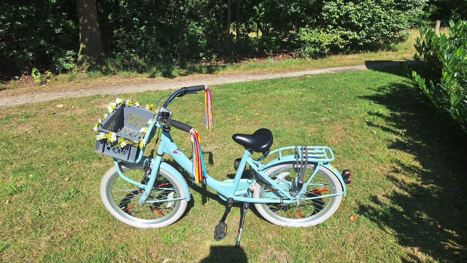 Alpina Club fiets - 24 inch - in zeer goede staat, Ophalen, Terugtraprem, Alpina, Handrem