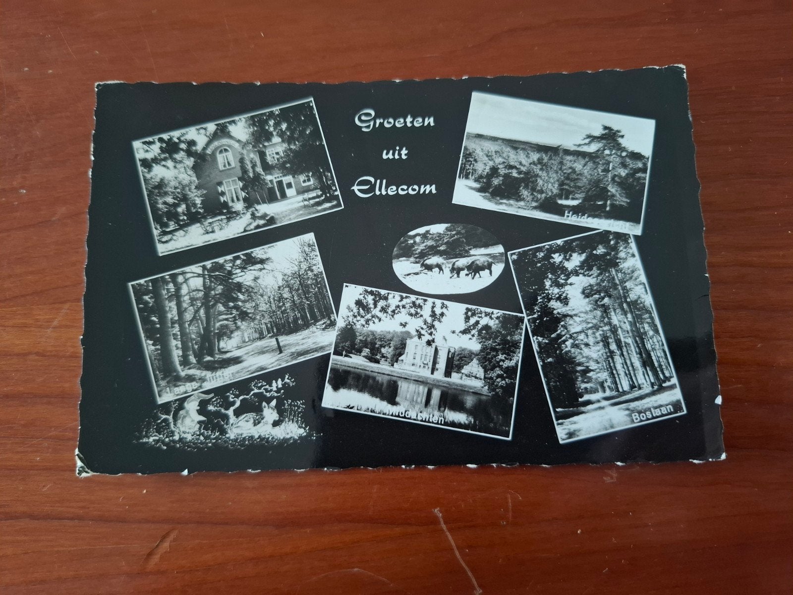Ansichtkaart Groeten uit Ellecom - 5 luik, Ophalen of Verzenden, 1960 tot 1980, Gelopen, Gelderland