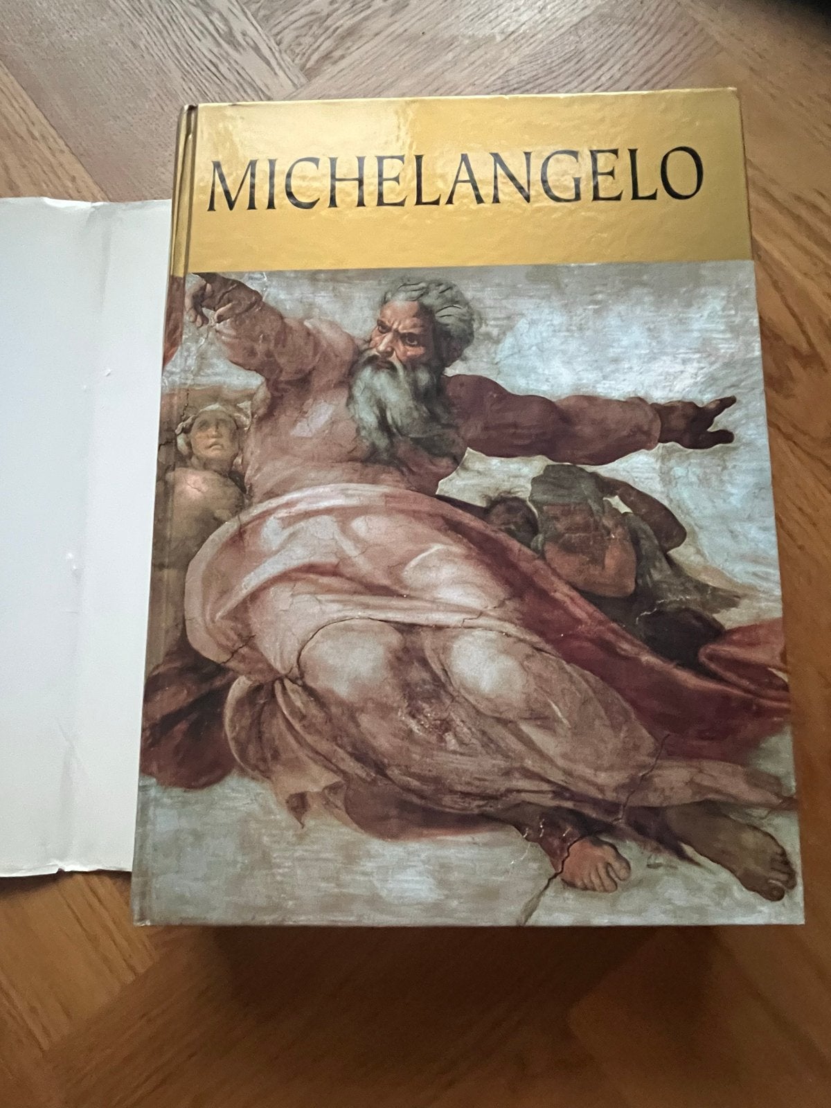 Michelangelo Kunstboek, Ophalen of Verzenden, Gelezen, Schilder- en Tekenkunst