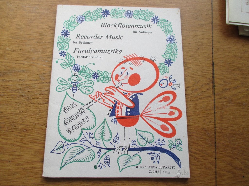 Blokfluit muziek voor beginners -blokfluit + piano, Gebruikt, Blokfluit, Ophalen of Verzenden, Artiest of Componist