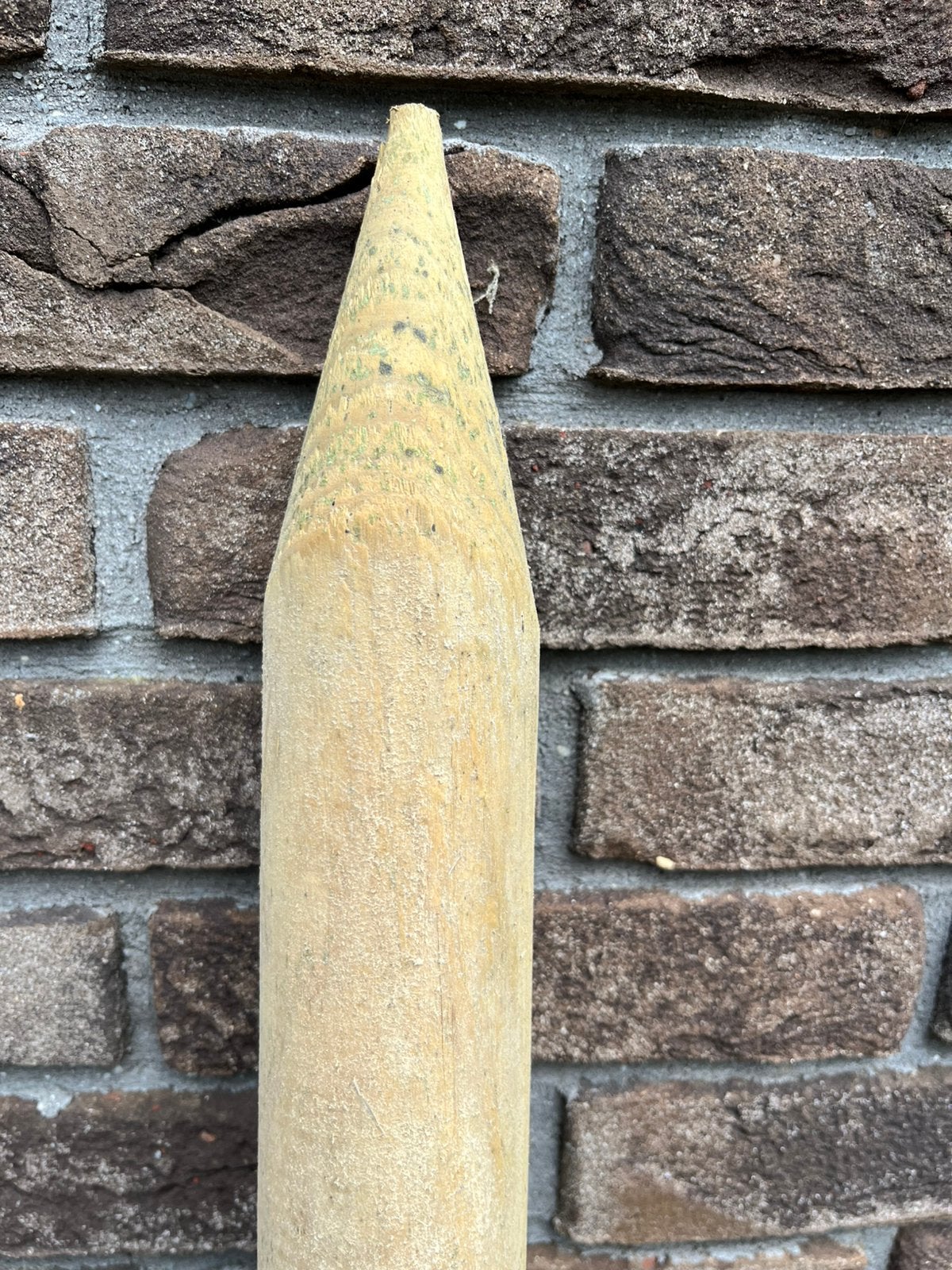 Tuinpaal, Ophalen, Nieuw, Minder dan 180 cm, Palen