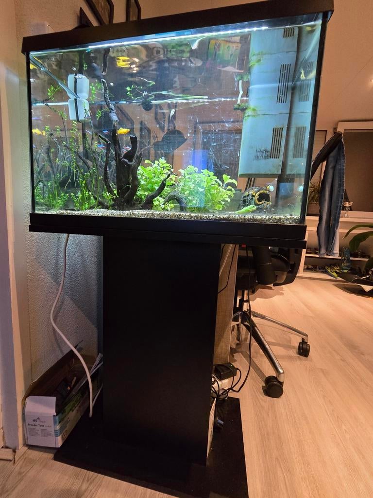 Juwel primo 60 inclusief meubel, Ophalen, Zo goed als nieuw, Leeg aquarium