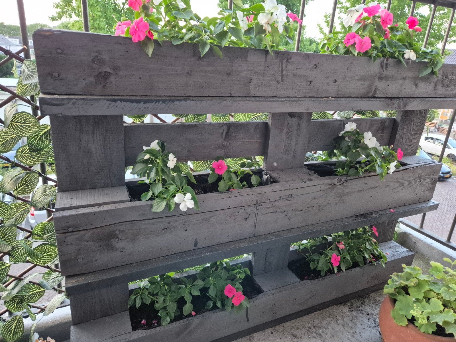 Bloembak voor op het balkon, Ophalen, Hout, Minder dan 3 meter, 1 tot 2 meter