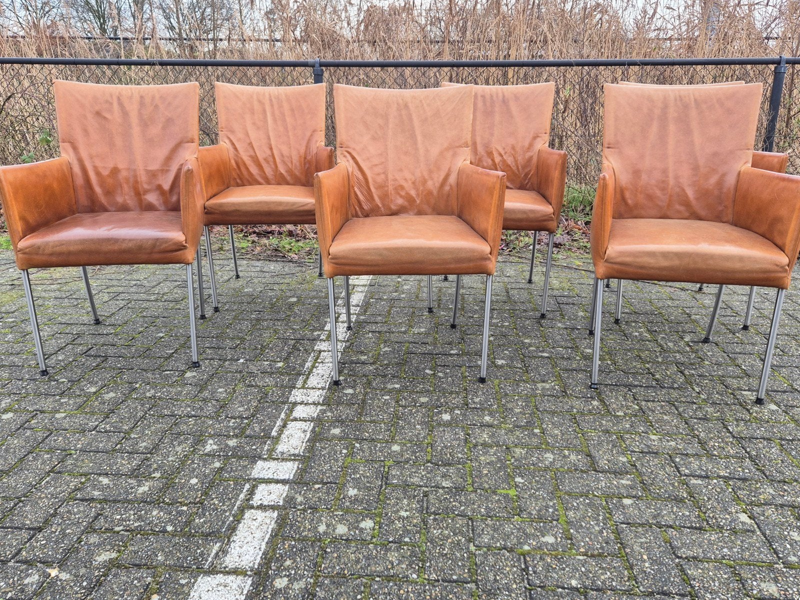 6 bert plantagie design eetkamerstoelen Arc leer licht bruin, Ophalen, Gebruikt, Design enzo luca he design hvs, Bruin