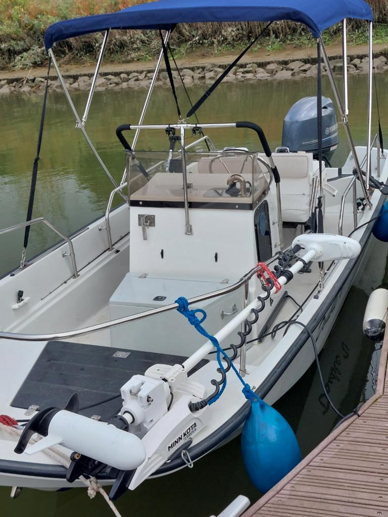 Boston Whaler Montauk 17 se +Trailer, Watersport en Boten, Speedboten, Ophalen, 60 pk, Viertaktmotor, 5 m