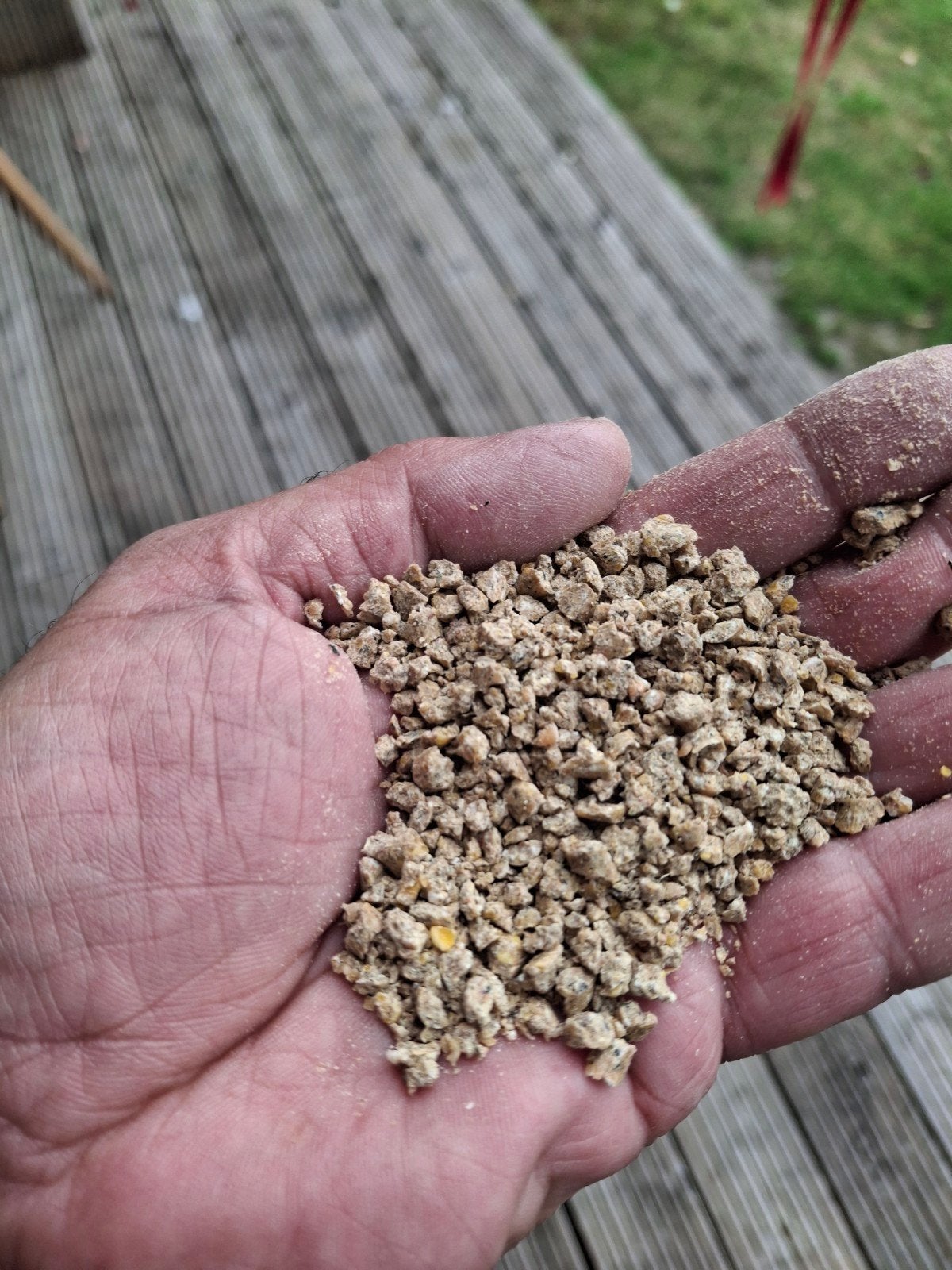kippenvoer; 1 zak excellent kuikenvoer van 10 kg., Ophalen, Pluimvee