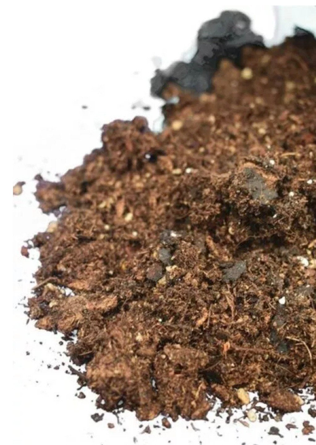 Palmboom grond, Ophalen