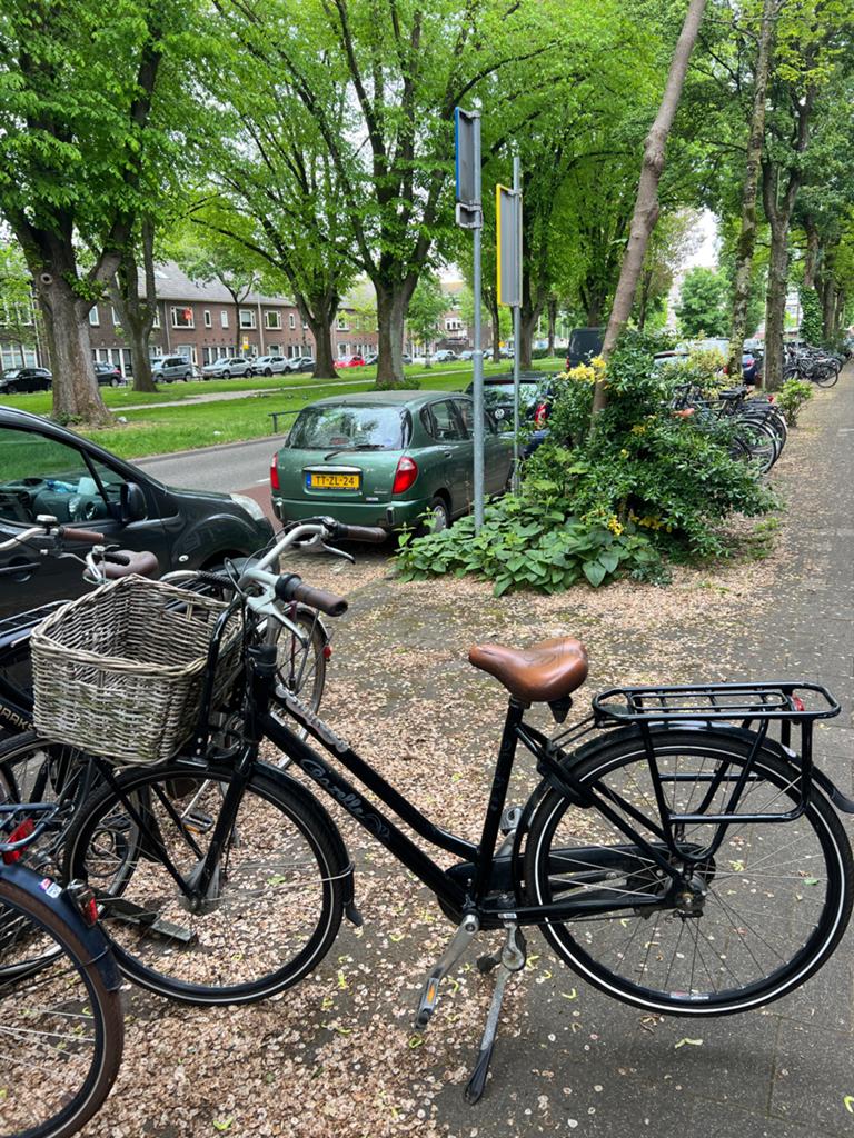 Gazelle Miss Grace fiets met rieten bak en versnellingen, Fietsen en Brommers, Fietsen | Dames | Omafietsen, Ophalen, Gebruikt
