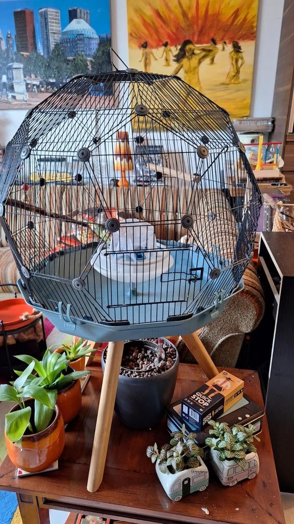Omlet vogelkooi met accessoires en hoge en lage standaard, Ophalen, Zo goed als nieuw, Metaal, Vogelkooi