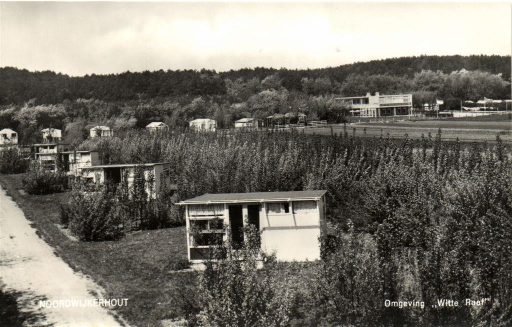 Noordwijkerhout - Omgeving Witte Raaf - ongelopen, Ophalen of Verzenden, Voor 1920, Ongelopen, Noord-Brabant