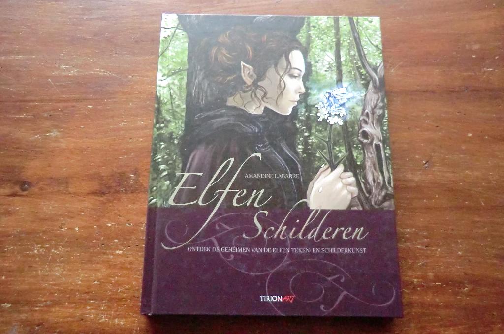 boek - Elfen schilderen - Amandine Labarre - tirionart, Boeken, Hobby en Vrije tijd, Ophalen of Verzenden, Zo goed als nieuw, Tekenen en Schilderen