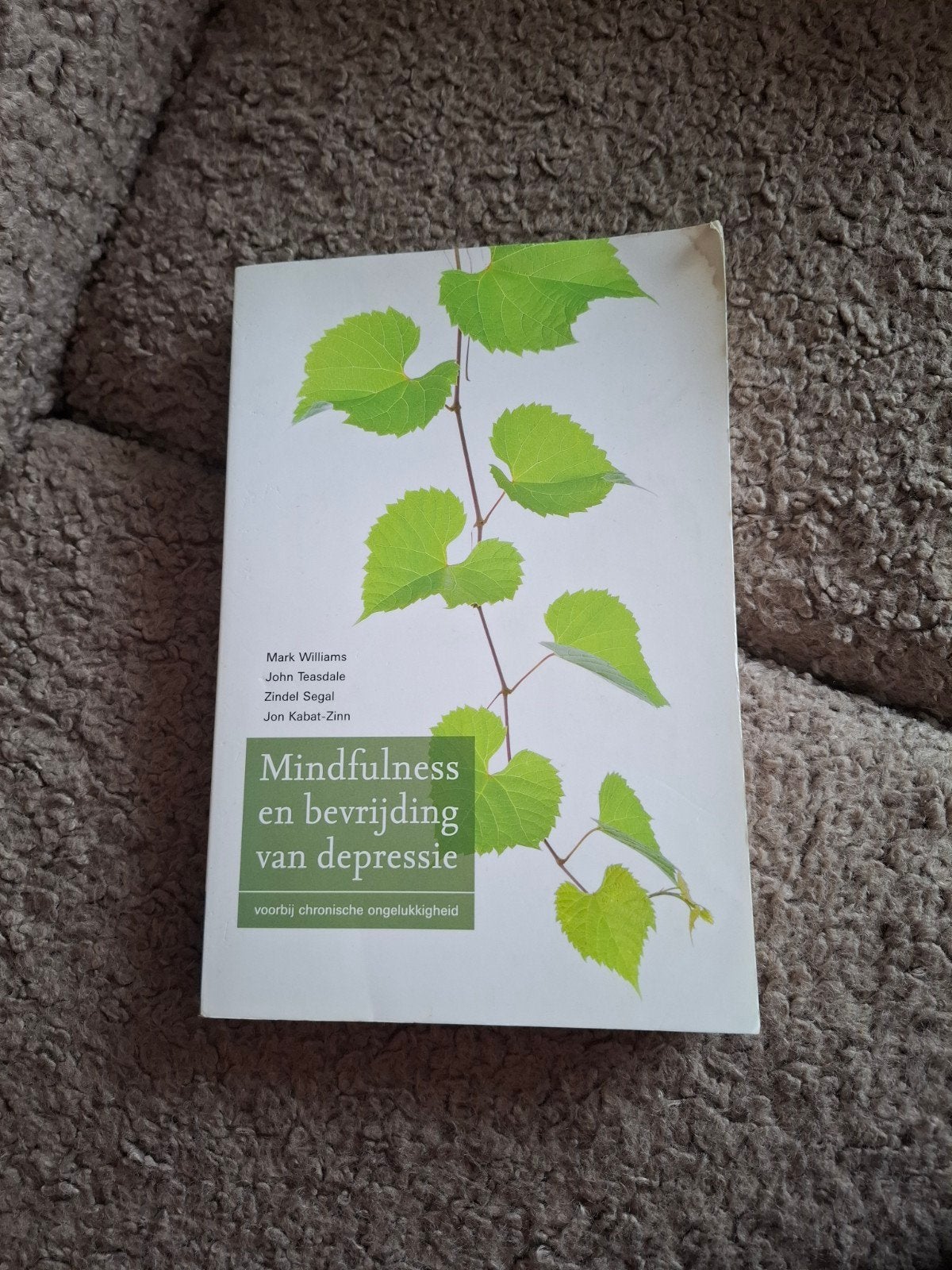 Mark Williams - Mindfulness en bevrijding van depressie, Boeken, Ophalen of Verzenden, Zo goed als nieuw, Mark Williams