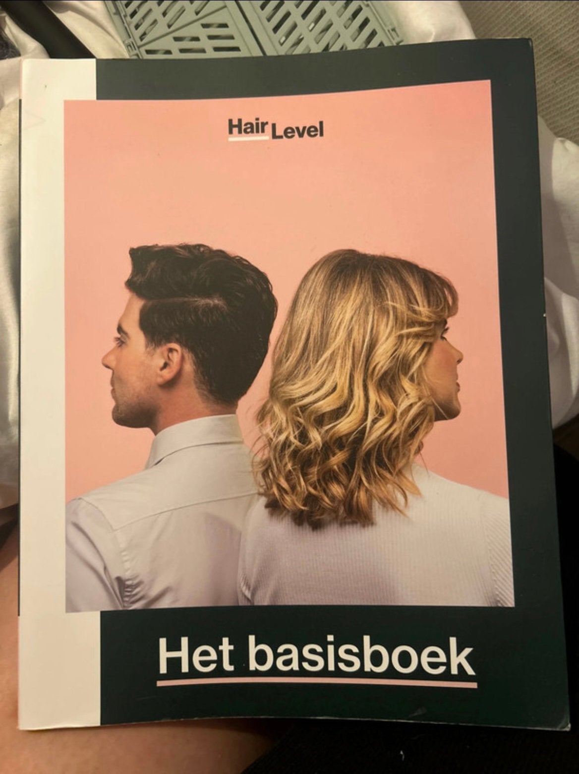 Hair Level: Het basisboek - Kappersopleiding, Boeken, Ophalen of Verzenden, Beta, Zo goed als nieuw, MBO