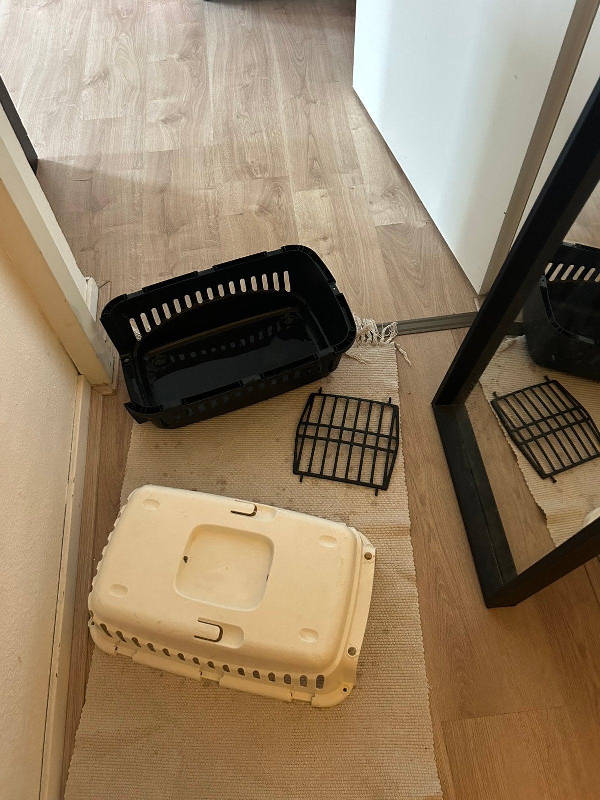 Incompleet Reismand kat, Dieren en Toebehoren, Ophalen, Zo goed als nieuw