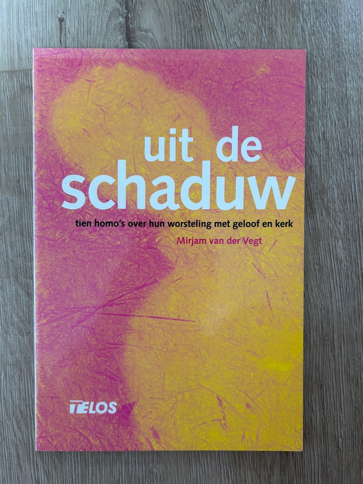 Uit de schaduw, homo’s worsteling kerk & geloof - M. vd Vegt, Ophalen of Verzenden, Gelezen