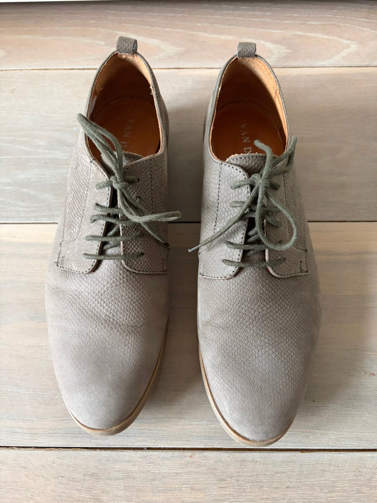 Van Dalen 40 leren taupe grijze bruine veterschoenen print, Kleding | Dames, Schoenen, Ophalen of Verzenden, Van Dalen, Grijs
