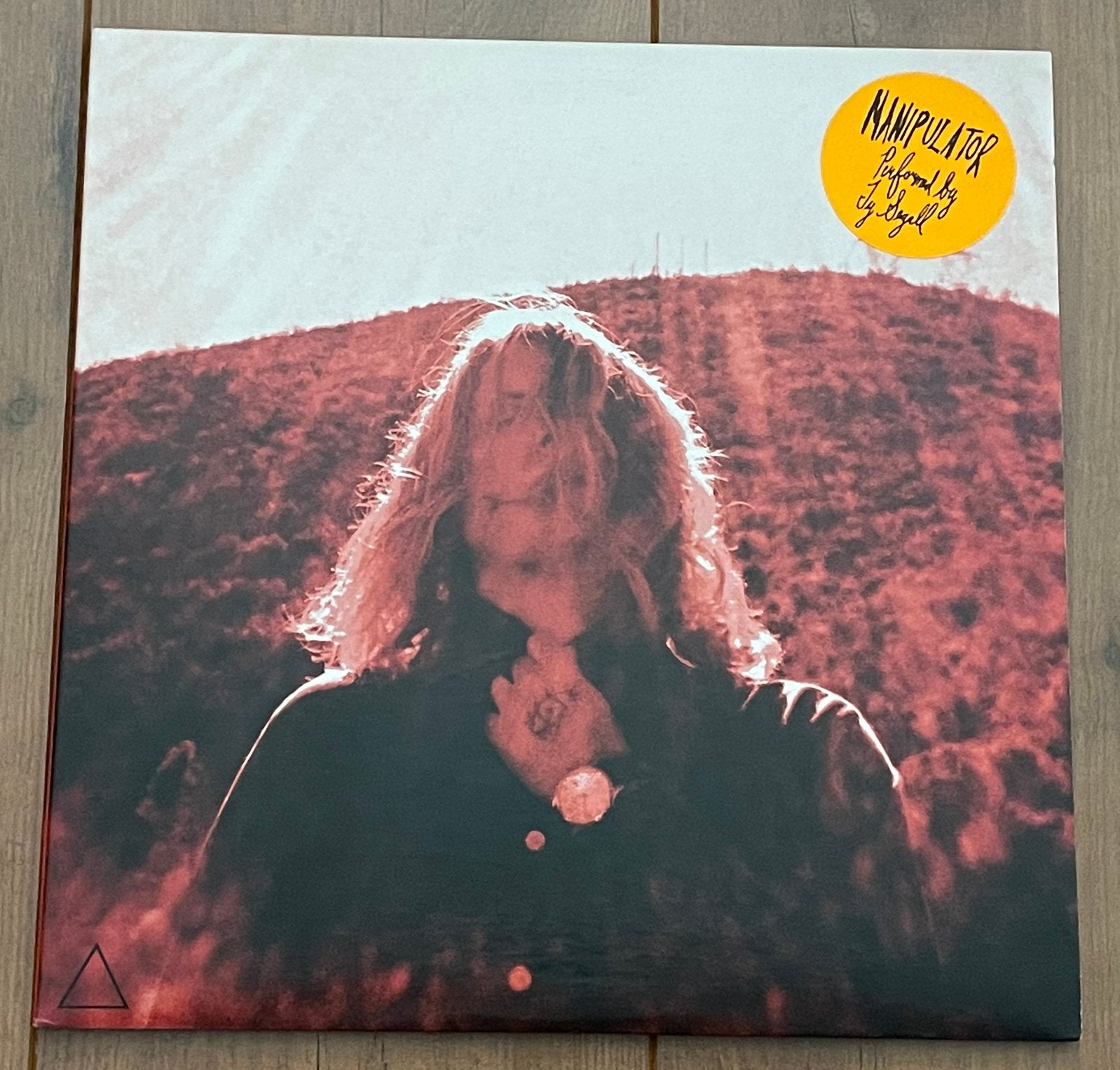 Ty Segall - Manipulator 2lp / 2014 pressing, NEAR MINT, Ophalen of Verzenden, Zo goed als nieuw, Beschermende buitenhoes, Dubbel-LP