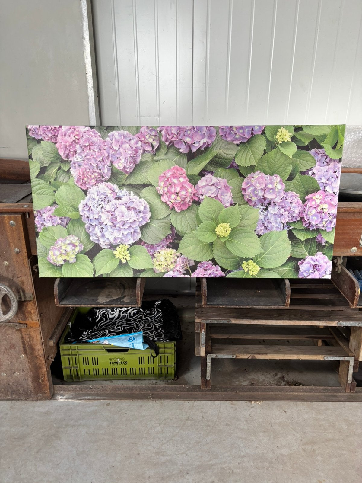 Hortensia “schilderij” wand decoratie 120x60, Ophalen, 50 – 75, Zo goed als nieuw, Schilderij
