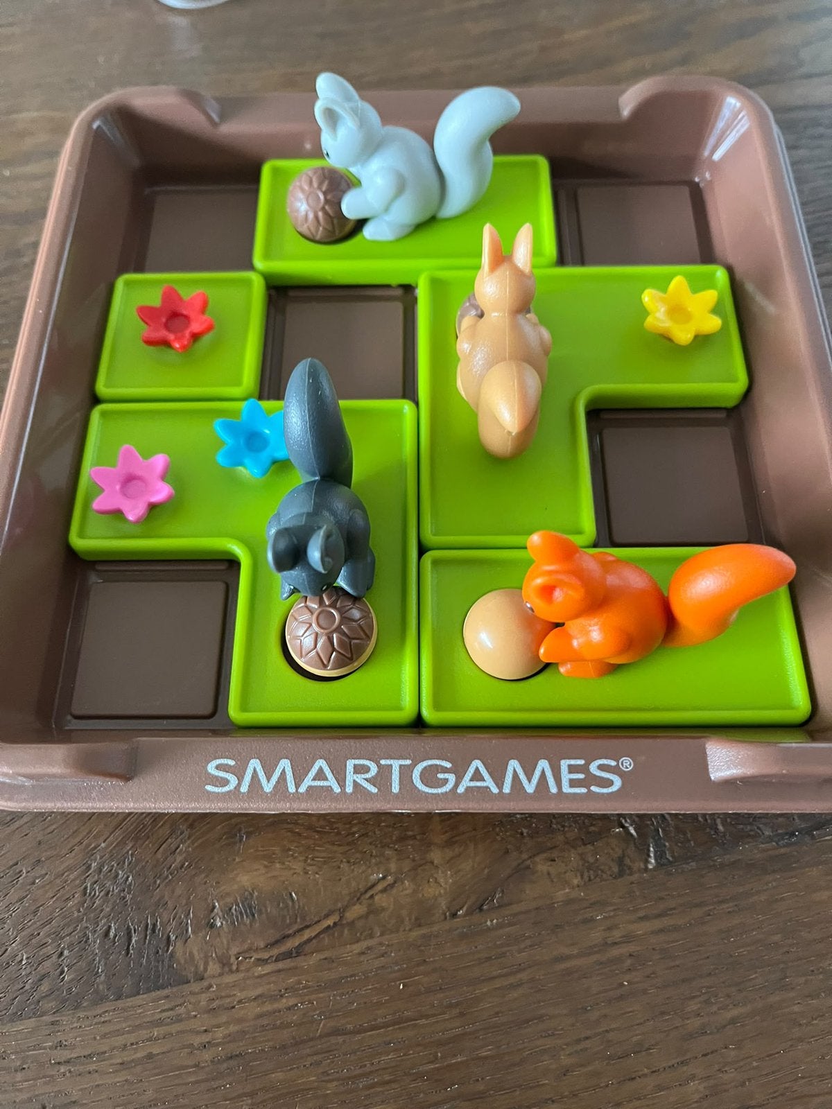 Smart games squirrels go nuts, Ophalen of Verzenden, Zo goed als nieuw