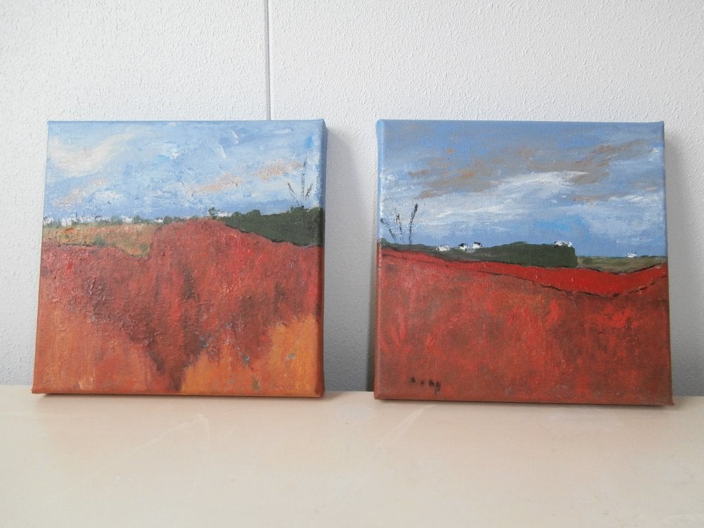 2 landschaps afbeeldingen, Ophalen, Minder dan 50 cm, Zo goed als nieuw, Schilderij