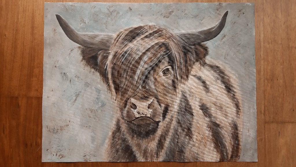 Schilderij Schotse Hooglander, ( 60 x 45 cm ), Ophalen, Oorspronkelijke maker, Nieuw, Schilderij