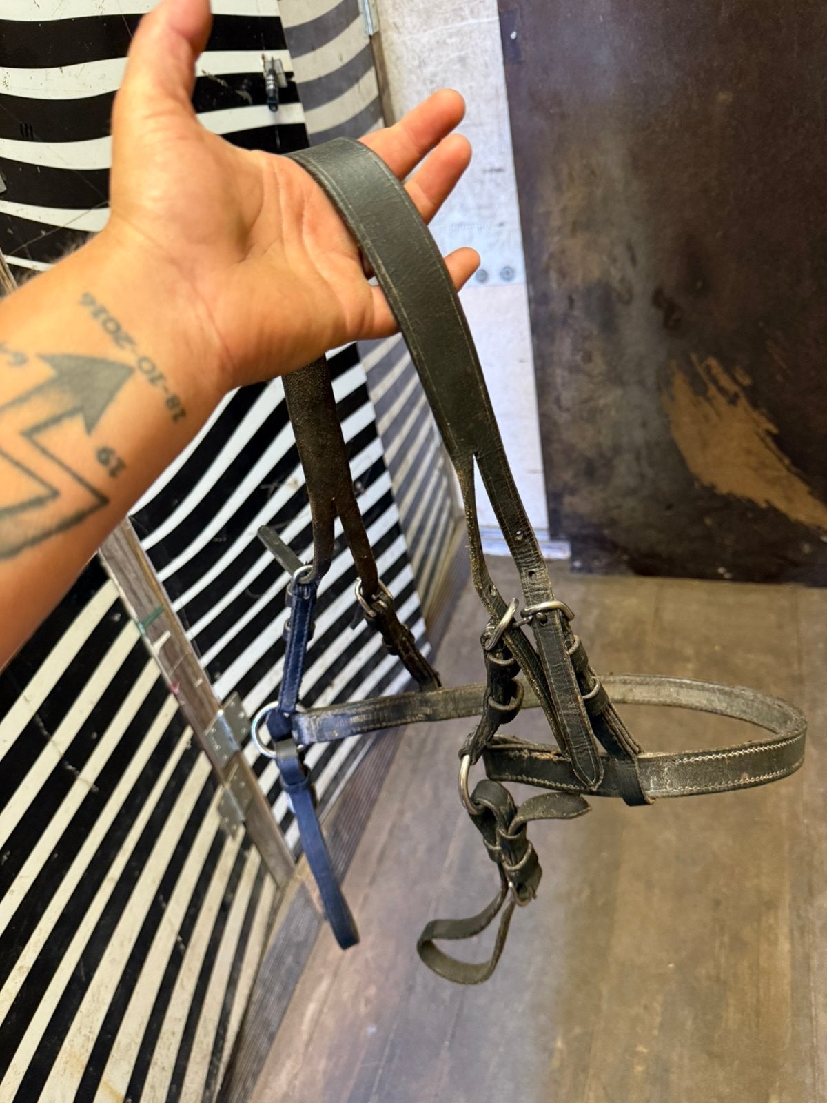 Mentuig broek mini shet, Dieren en Toebehoren, Paarden en Pony's | Hoofdstellen en Tuigage, Ophalen, Gebruikt, Mentuig, Mini