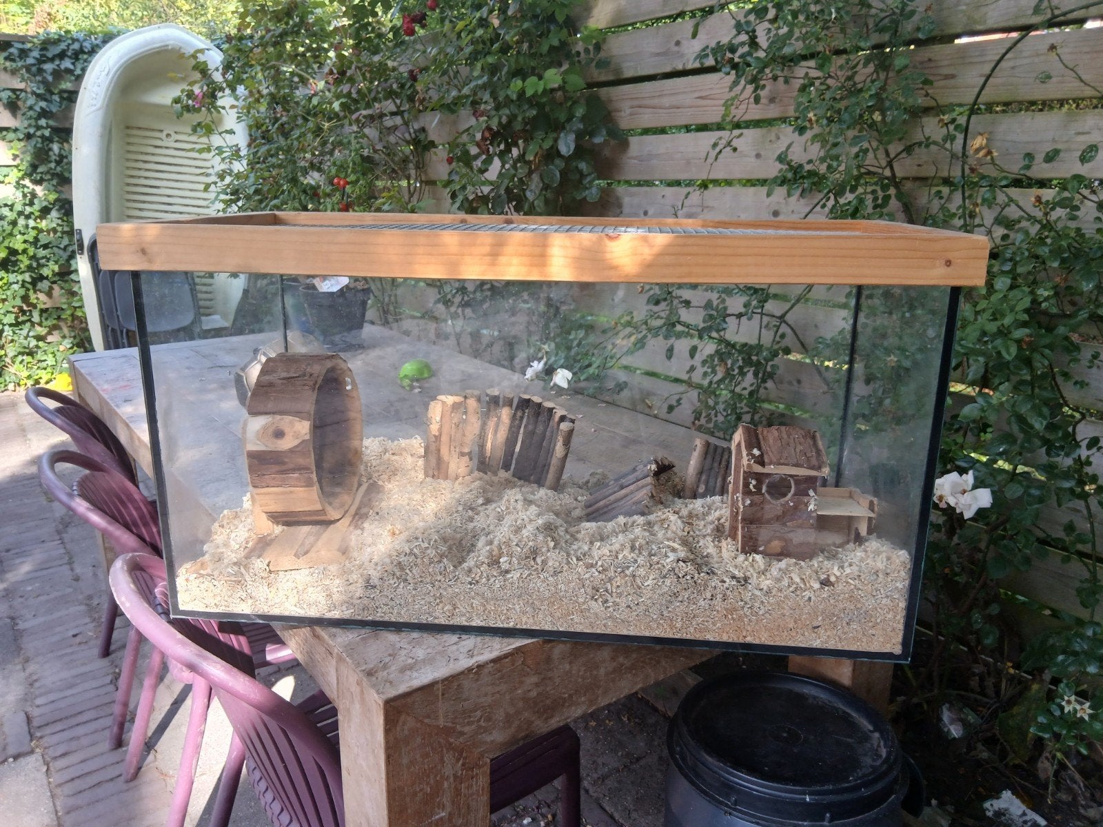Een kooi voor hamsters slangen of kuikens, Kooi, Minder dan 75 cm, Zo goed als nieuw, Ophalen