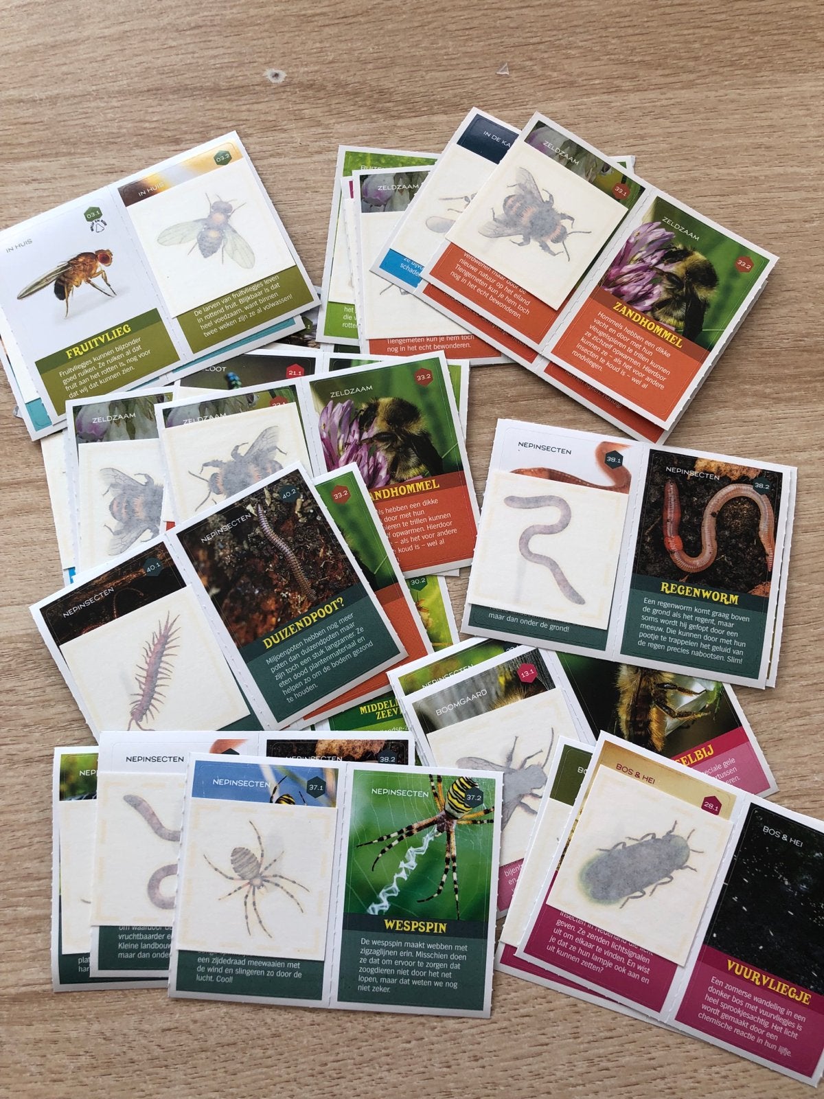 AH Plaatjes Top Insecten - Complete set of losse plaatjes, Verzamelen, Supermarktacties, Albert Heijn, Ophalen