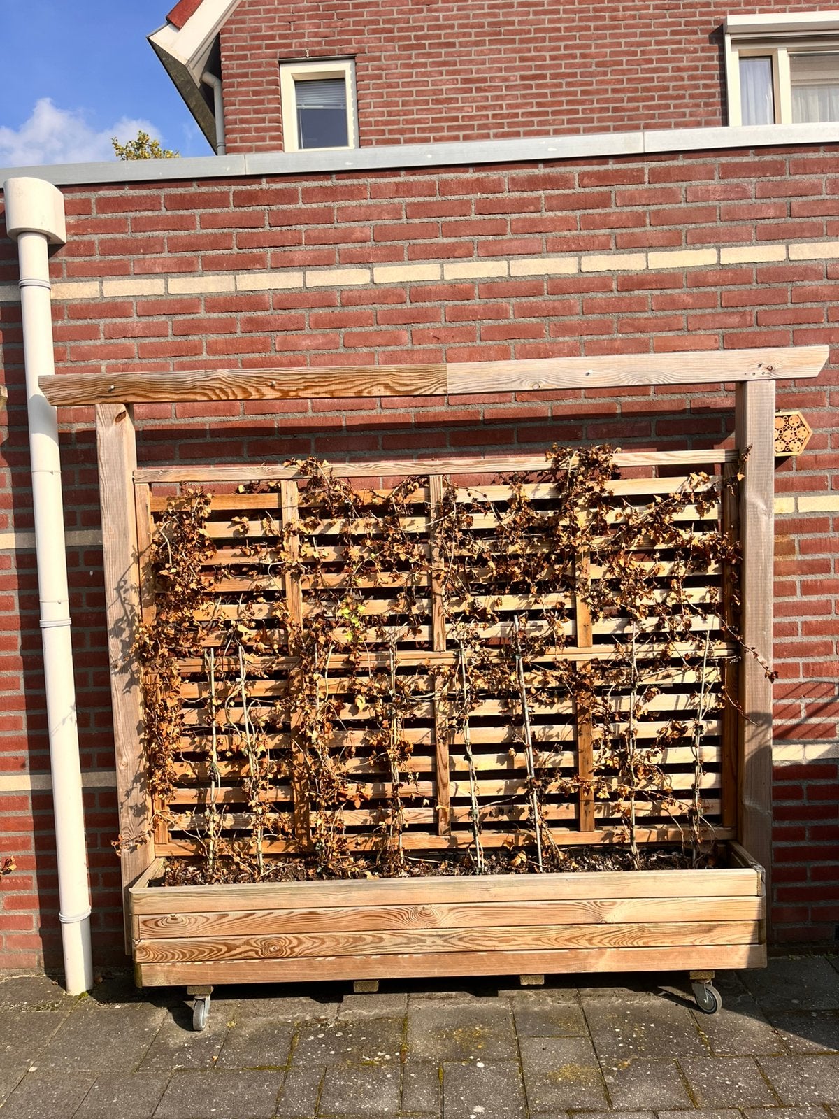 Twee plantenbakken, Tuin en Terras, Ophalen, Rond, Zo goed als nieuw, 60 cm of meer