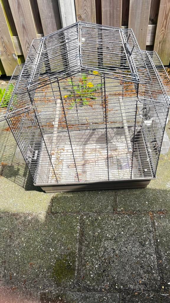 Kooi, Ophalen, Zo goed als nieuw, 75 tot 110 cm, Minder dan 65 cm