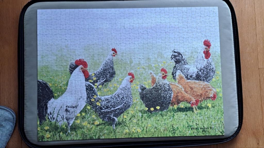 2xPUZZELS 2X1000 VAN WIEBE VAN DE ZEE, Ophalen, Zo goed als nieuw