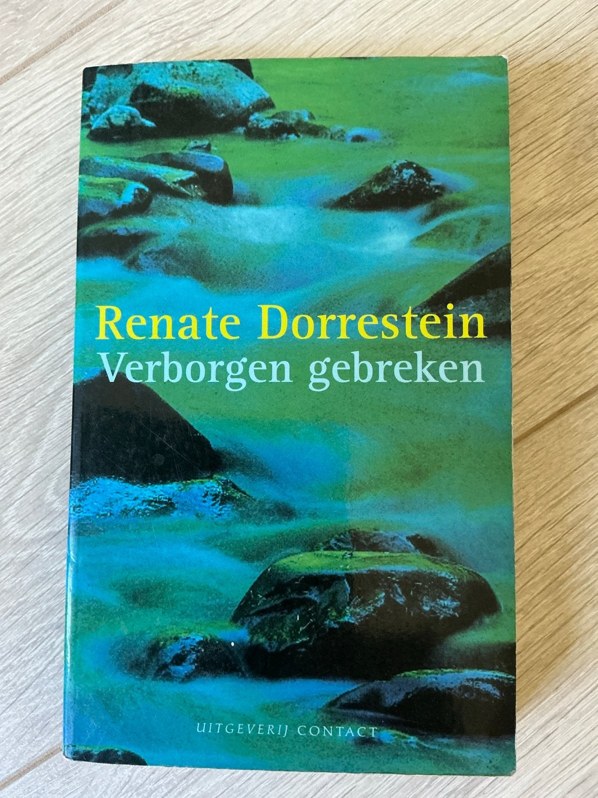 Renate Dorrestein - Verborgen gebreken, Ophalen of Verzenden, Gelezen, Nederland