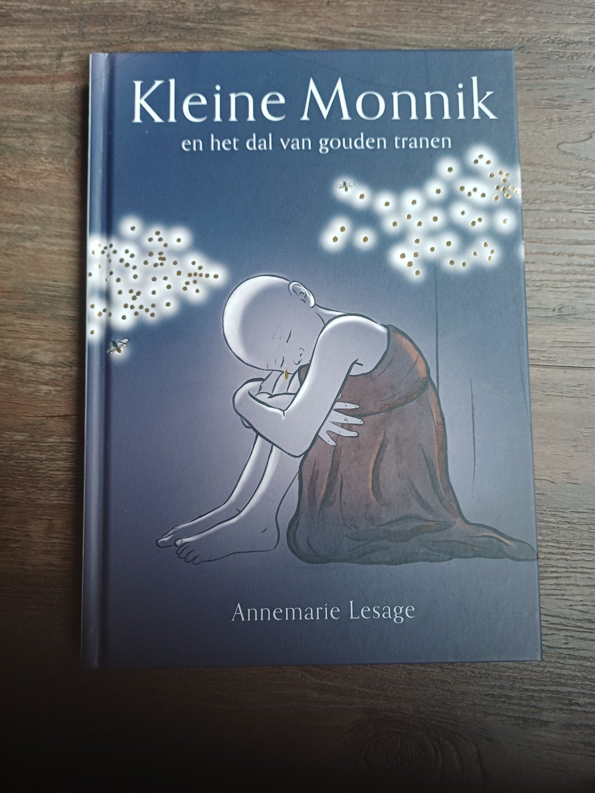 Kleine Monnik en het dal van gouden tranen, Boeken, Ophalen of Verzenden, Zo goed als nieuw, Annemarie Lesage, Nederlands