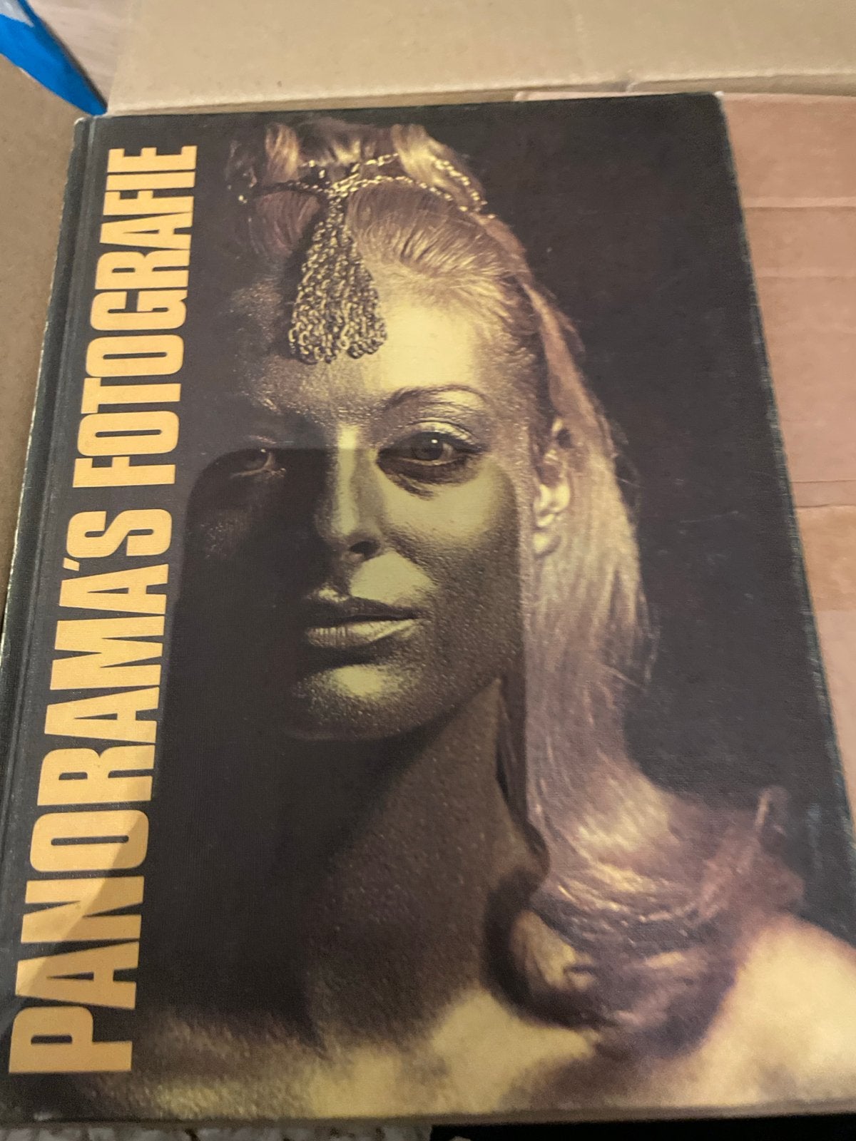 Panorama's Fotografie - Boek over fotografie, Boeken, Ophalen of Verzenden, Zo goed als nieuw, Fotografie algemeen
