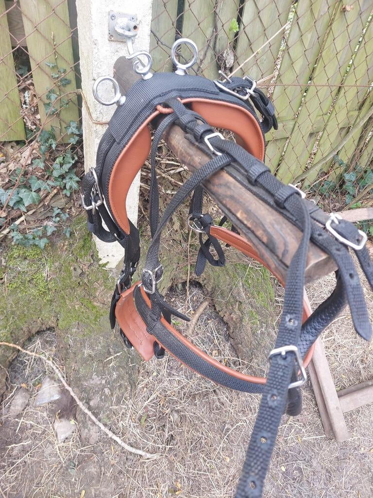Mentuig mini mini shet, Ophalen of Verzenden, Overige soorten