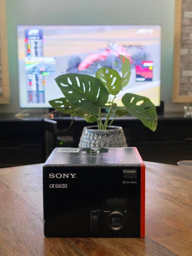 Sony Alpha A6600 Body, Ophalen, Zo goed als nieuw, Sony, Geen optische zoom
