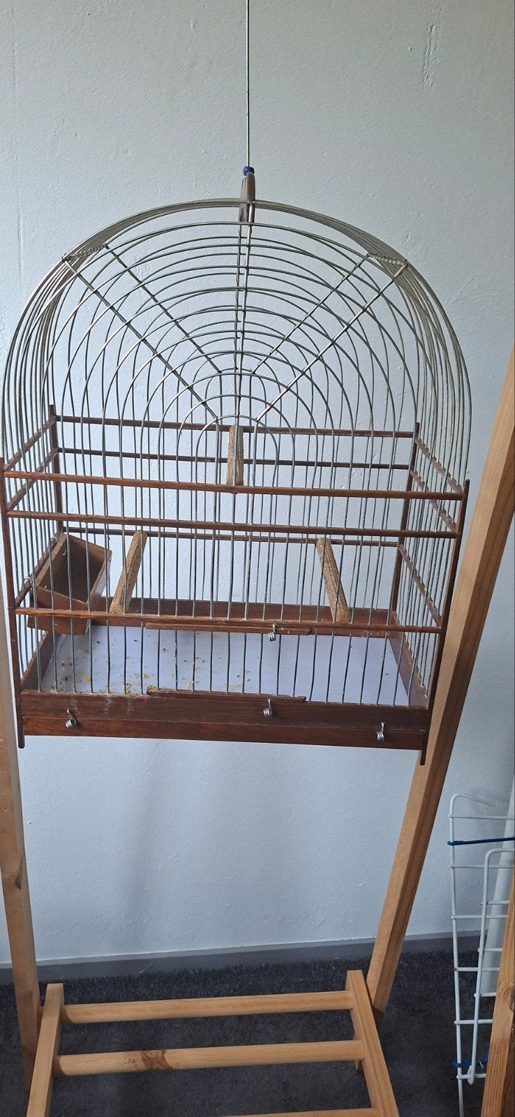 Surinaamse vogelkooi - middel compleet, Ophalen, Gebruikt, Metaal, Vogelkooi